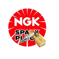 NGK DPR9EA-9 Spark Plug
